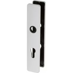 Plaque Blanche - Clé I - ARCOLOR 710 Et 232 - La Paire - Vachette